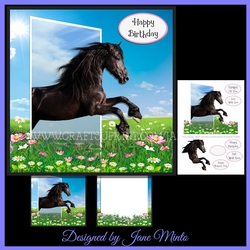BLACK BEAUTY