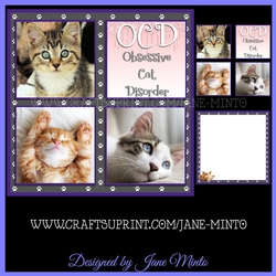 OBSESSIVE CAT DISORDER