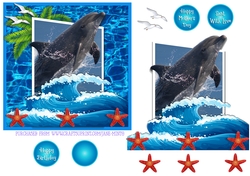3D DOLPHIN 6X6