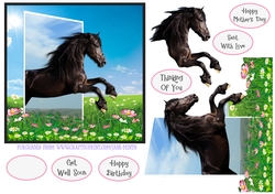 3D BLACK BEAUTY 6X6