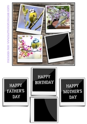 BLUE TITS 6X6