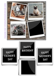 CUTE CATS 6X6