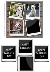 CUTE DOGS 6X6