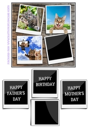 FUNNY CATS 6X6