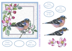 SPRING CHAFFINCH 6x6