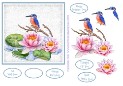 THE KINGFISHER 6x6