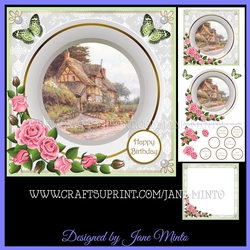 PRETTY PLATE 2