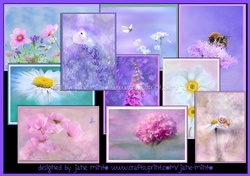 C6 NOTELET SET