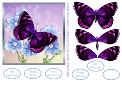 BUTTERFLY 2 6X6