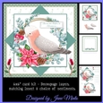 6X6 CHRISTMAS GALAH