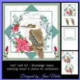 6X6 CHRISTMAS KOOKABURRA