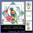 6X6 CHRISTMAS RAINBOW LORIKEET