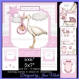 BABY GIRL SET