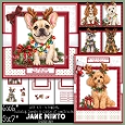 REINDEER DOGS