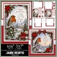 JOY OF CHRISTMAS - ROBIN