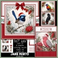 AUSTRALIAN CHRISTMAS BIRDS