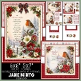 THE CHRISTMAS ROBIN