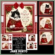 7x7 & 6x6 SPECIAL DELIVERY - CATS
