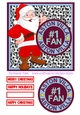 ASTON VILLA SANTA SHEET