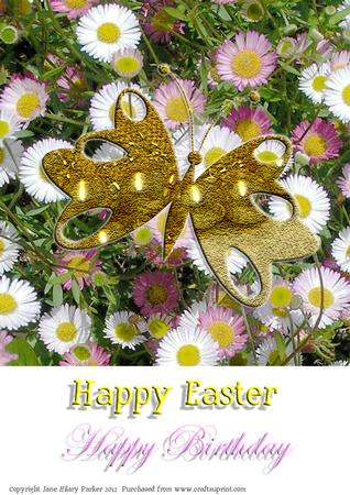Golden Butterfly & Cornish Daisies