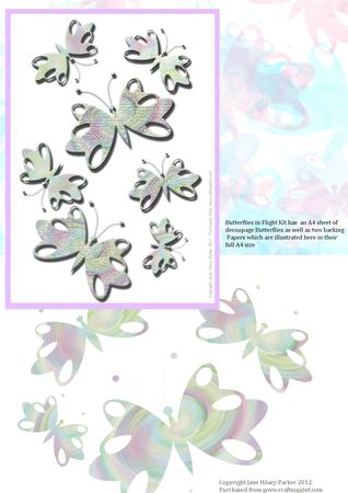 Butterflies in Flight