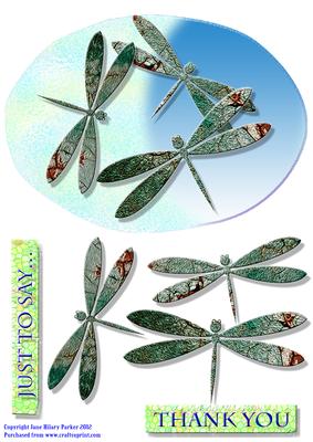 Dragon Flies Over a Pond