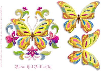 Beautiful Butterfly