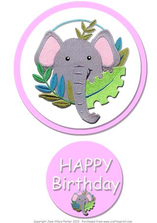 Baby Girl Elephant