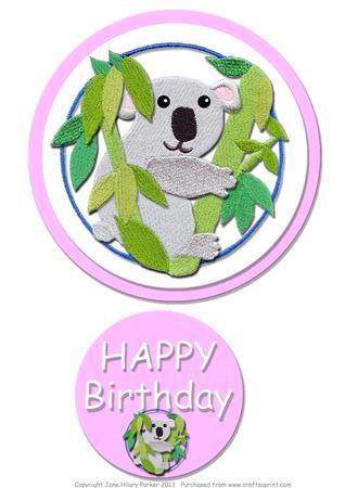 Baby Girl Koala
