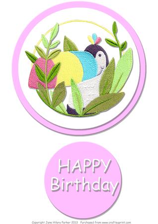 Baby Toucan, Girl