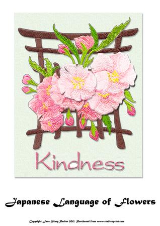 Japanese Language of Flowers - Kindness