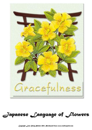 Japanese Language of Flowers - Gracefulness