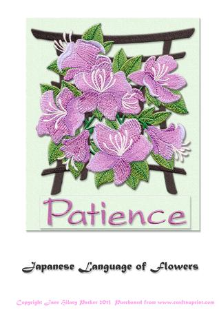 Japanese Language of Flowers Patience