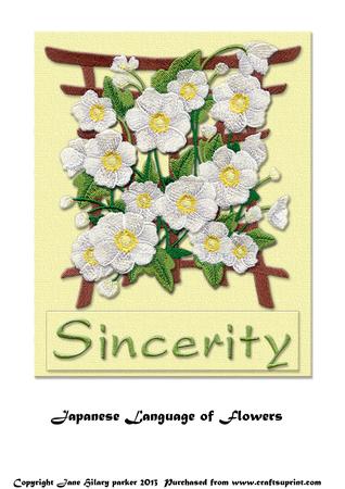 Japanese Language of Flowers - Sincerity