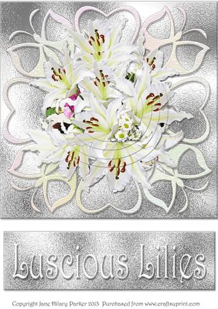 Luscious Lilies