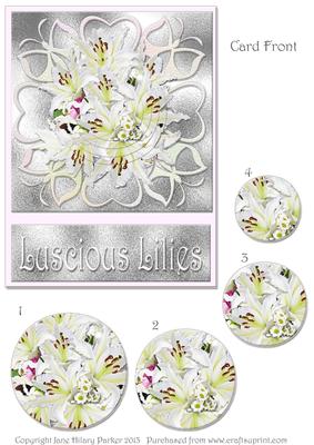 Lusciou Lilies 5 x 7