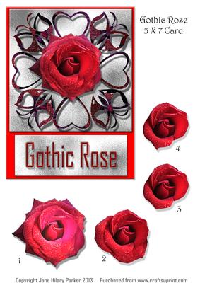 Gothic Rose 5 X7