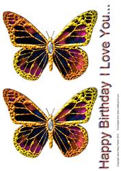 Diamond Butterfly