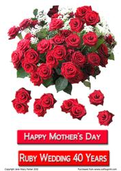 Red Roses for a Special Lady
