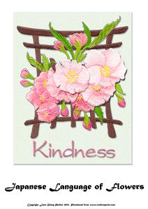 Japanese Language of Flowers - Kindness