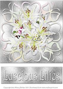 Luscious Lilies