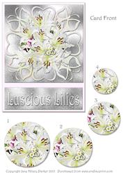 Lusciou Lilies 5 x 7
