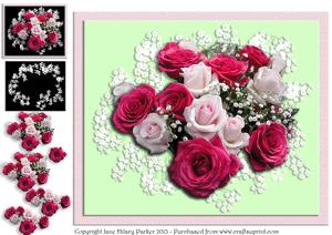 Pink Roses & Baby's Breath