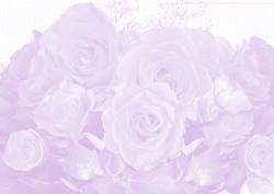 Rose Paper 5 - Pale Mauve