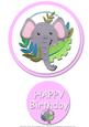 Baby Girl Elephant