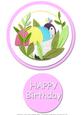 Baby Toucan, Girl