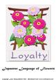 Japanese Flower Language Loyalty