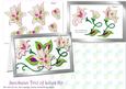 Jacobean Trio of Lilies