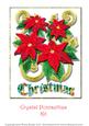Crystal Poinsettias