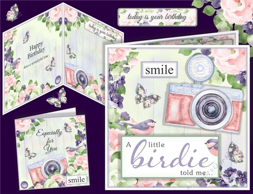 Little Birdie Camera Card 